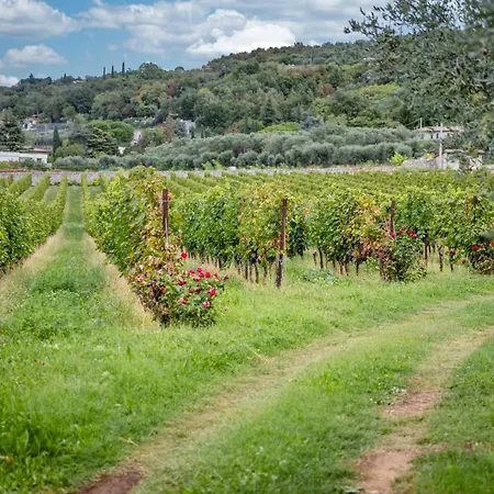 Appartamento Borgata Levita Bardolino